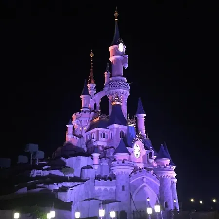 D'hote A -de 3km De Disney 홈스테이 *